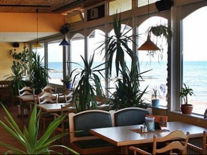 照片: COOL SHARK - Beach Bar